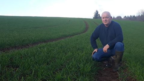 Patrice Pélissier cultive du triticale depuis trente ans. © P. Pélissier Patrice Pélissier cultive du triticale depuis trente ans. © P. Pélissier